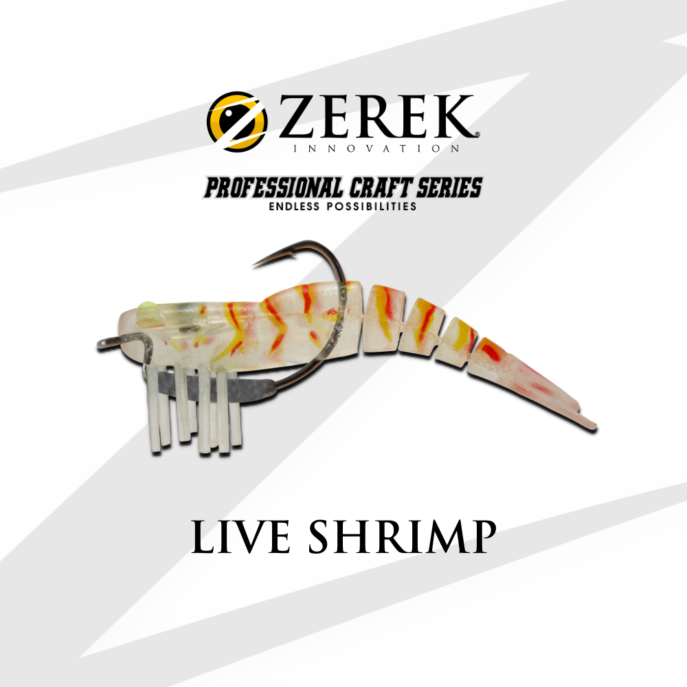 Live Shrimp