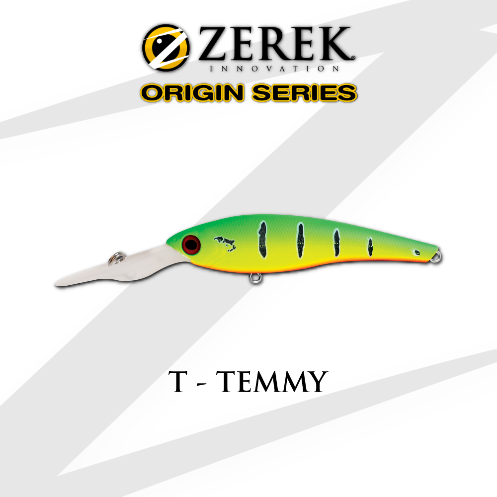 Tango Shad 120mm (Floating)